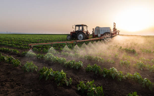 Best Wildlife Control Services  in Cambria, IL