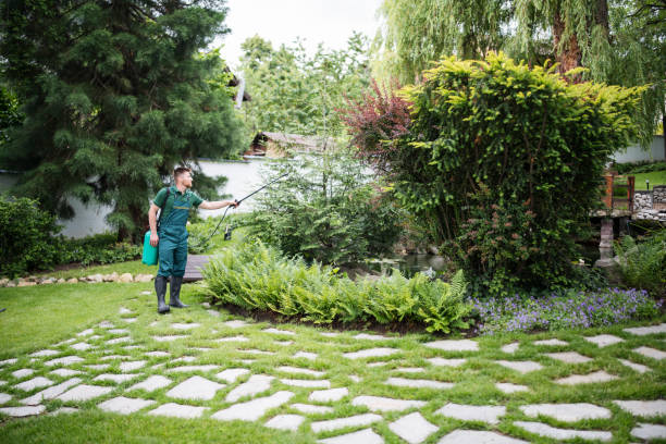 Best Residential Pest Control  in Cambria, IL