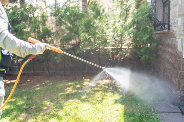 Best Affordable Pest Control Services  in Cambria, IL