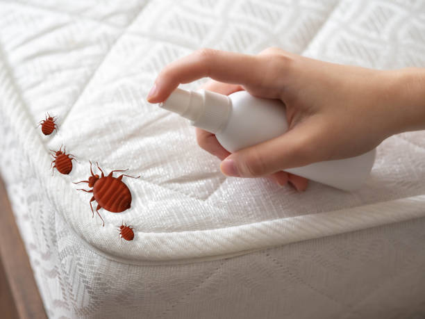 Best Wasp Removal Services  in Cambria, IL