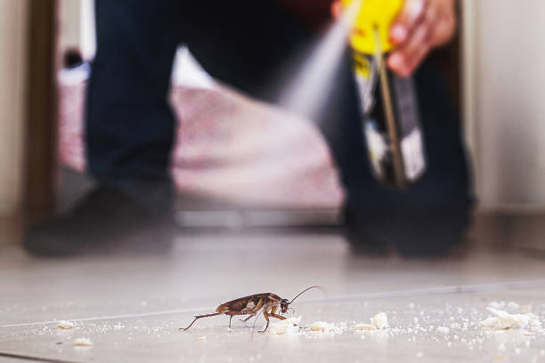 Best Mosquito Control Services  in Cambria, IL